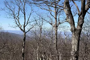 45 Ravens Roost Ln, Wintergreen Resort, VA 22967 - Photo 33