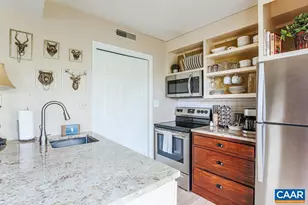 705 Laurelwood Condos, Wintergreen Resort, VA 22967 - Photo 9