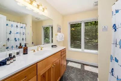 1244 Blue Ridge Dr, Wintergreen Resort, VA 22967 - Photo 41