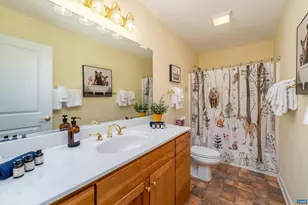 1244 Blue Ridge Dr, Wintergreen Resort, VA 22967 - Photo 55