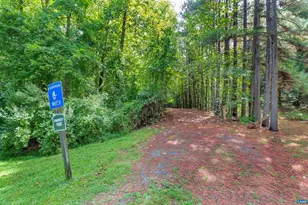 305 Starcrest Rd, Charlottesville, VA 22902 - Photo 37