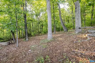 3065 Blandemar Dr, Charlottesville, VA 22903 - Photo 71