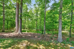 3288 Wooded Acres Ln, Charlottesville, VA 22911 - Photo 47