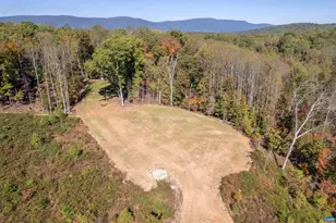 3 Dick Woods Rd, Afton, VA 22903 - Photo 25