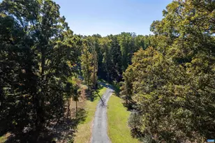 3 Dick Woods Rd, Afton, VA 22903 - Photo 29