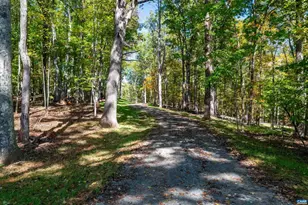 3 Dick Woods Rd, Afton, VA 22903 - Photo 23