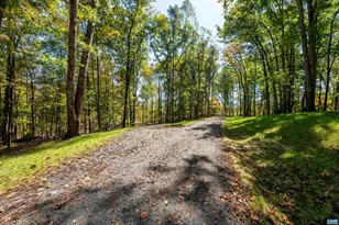 3 Dick Woods Rd, Afton, VA 22903 - Photo 27