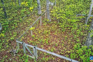 138 Oak Ln, Wintergreen Resort, VA 22967 - Photo 39