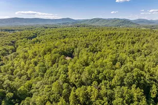 2200 Rocky Run, Charlottesville, VA 22901 - Photo 13