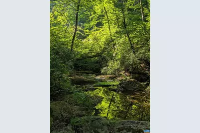 2200 Rocky Run, Charlottesville, VA 22901 - Photo 11