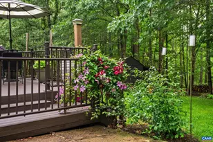 3309 Martin Kings Rd, Charlottesville, VA 22902 - Photo 45