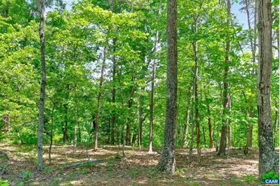 3403 Meadow Wood Ln, Crozet, VA 22932 - Photo 47