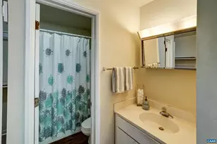 239 Harvest Dr, Charlottesville, VA 22903 - Photo 35