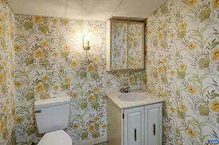 239 Harvest Dr, Charlottesville, VA 22903 - Photo 43