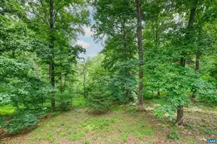 136 Hooded Warbler Ln, Nellysford, VA 22958 - Photo 71