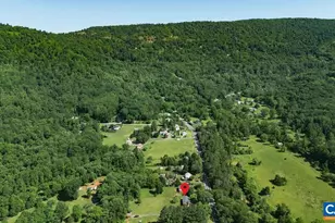 1877 Afton Mountain Rd, Afton, VA 22920 - Photo 57