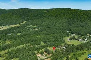 1877 Afton Mountain Rd, Afton, VA 22920 - Photo 59