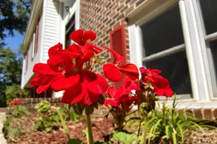 2140 Viburnum Ct, Charlottesville, VA 22911 - Photo 5