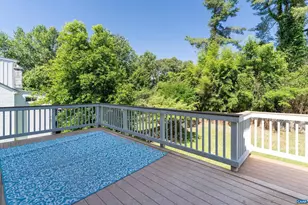 1015 Birdwood Rd, Charlottesville, VA 22903 - Photo 51
