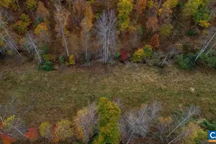 0 Willow Branch Ln, Faber, VA 22938 - Photo 53
