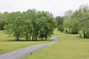 4345 Burnley Station Rd, Barboursville, VA 22923 - Photo 5