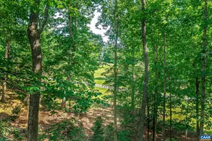 3225 Prestwick Pl, Keswick, VA 22947 - Photo 47