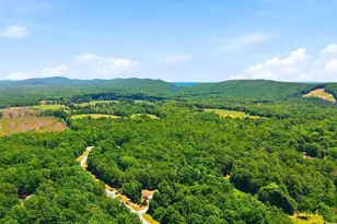 60 Jefferson Ln, Arrington, VA 22922 - Photo 63