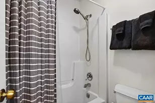 20 Blue Ridge Ct, Wintergreen Resort, VA 22967 - Photo 47