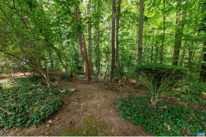 1933 Blue Ridge Rd, Charlottesville, VA 22903 - Photo 43