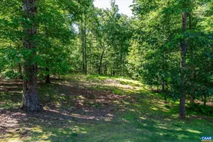 895 Langdon Woods Dr, Dyke, VA 22935 - Photo 67