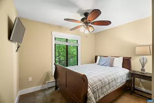 312 Dobie Ln, Roseland, VA 22967 - Photo 43