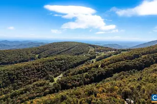 1641 Overlook Condos, Wintergreen, VA 22967 - Photo 39