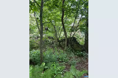 82 Warrior Run, Roseland, VA 22967 - Photo 27
