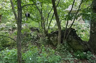 82 Warrior Run, Roseland, VA 22967 - Photo 27