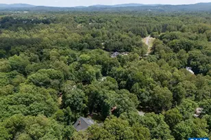 2746 Owensfield Ct, Charlottesville, VA 22901 - Photo 63