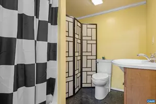 2629 Ducks Lake Ridge Rd, Scottsville, VA 24590 - Photo 61