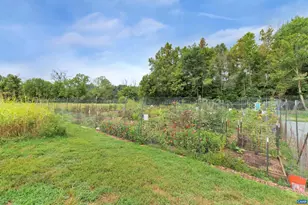 970 Charter Oaks Dr, Charlottesville, VA 22901 - Photo 47