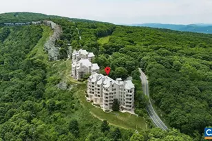1943 High Ridge Pl Condos, Wintergreen Resort, VA 22967 - Photo 33