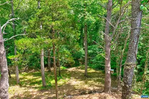 6285 Jarmans Gap Rd, Crozet, VA 22932 - Photo 39