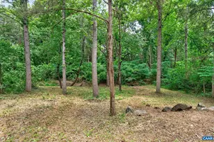6285 Jarmans Gap Rd, Crozet, VA 22932 - Photo 51