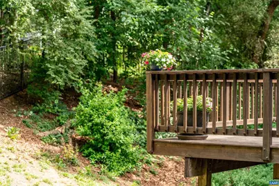 1641 Brightfield Pl, Charlottesville, VA 22901 - Photo 63