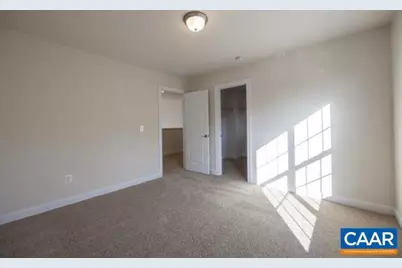 3437 Thicket Run Pl, Charlottesville, VA 22911 - Photo 21