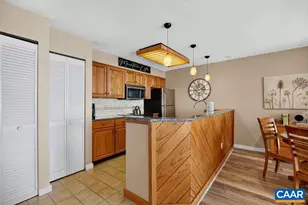 1587 Vistas Condos, Wintergreen, VA 22967 - Photo 13
