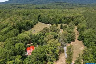 2830 Penny Ln, Charlottesville, VA 22903 - Photo 67