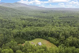 6230 Green Creek Rd, Schuyler, VA 22969 - Photo 45