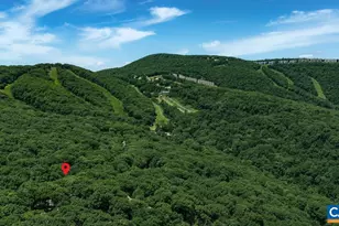 24 Pedlars Point, Wintergreen, VA 22967 - Photo 47