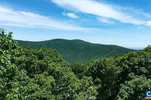 24 Pedlars Point, Wintergreen, VA 22967 - Photo 45