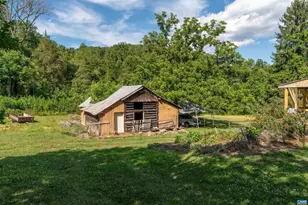 3613 Walnut Branch Ln, North Garden, VA 22959 - Photo 23