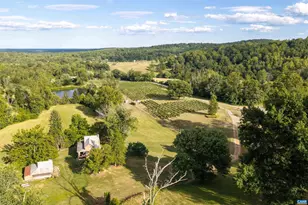 3613 Walnut Branch Ln, North Garden, VA 22959 - Photo 5