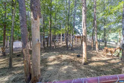 3002 Burnley Station Rd, Barboursville, VA 22923 - Photo 61